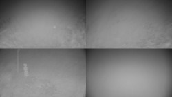 Sdružený snímek okolí chaty Myslivna