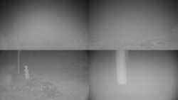 Sdružený snímek okolí chaty Myslivna