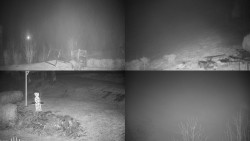 Sdružený snímek okolí chaty Myslivna