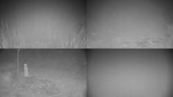 Sdružený snímek okolí chaty Myslivna