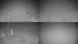 Sdružený snímek okolí chaty Myslivna