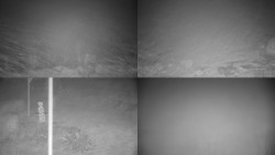 Sdružený snímek okolí chaty Myslivna