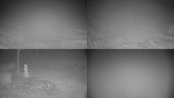 Sdružený snímek okolí chaty Myslivna