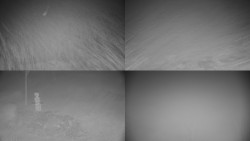 Sdružený snímek okolí chaty Myslivna