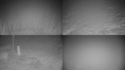 Sdružený snímek okolí chaty Myslivna