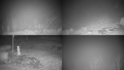 Sdružený snímek okolí chaty Myslivna