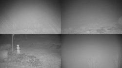 Sdružený snímek okolí chaty Myslivna