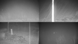 Sdružený snímek okolí chaty Myslivna