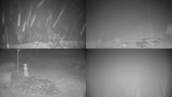 Sdružený snímek okolí chaty Myslivna