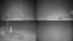 Sdružený snímek okolí chaty Myslivna