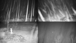 Sdružený snímek okolí chaty Myslivna