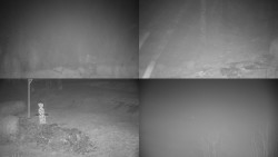 Sdružený snímek okolí chaty Myslivna