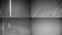 Sdružený snímek okolí chaty Myslivna