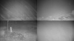 Sdružený snímek okolí chaty Myslivna