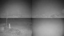 Sdružený snímek okolí chaty Myslivna