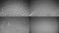 Sdružený snímek okolí chaty Myslivna