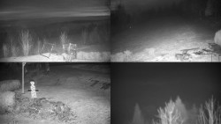 Sdružený snímek okolí chaty Myslivna