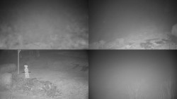 Sdružený snímek okolí chaty Myslivna