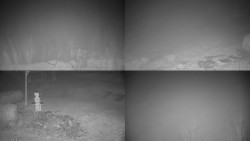 Sdružený snímek okolí chaty Myslivna