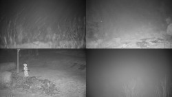 Sdružený snímek okolí chaty Myslivna