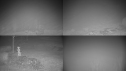 Sdružený snímek okolí chaty Myslivna