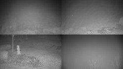 Sdružený snímek okolí chaty Myslivna