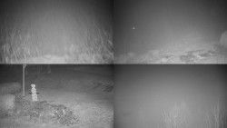 Sdružený snímek okolí chaty Myslivna