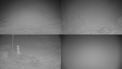 Sdružený snímek okolí chaty Myslivna