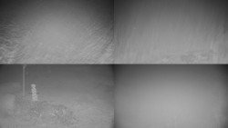 Sdružený snímek okolí chaty Myslivna