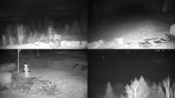 Sdružený snímek okolí chaty Myslivna