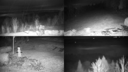 Sdružený snímek okolí chaty Myslivna