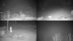 Sdružený snímek okolí chaty Myslivna