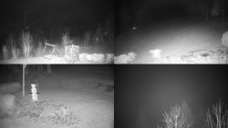 Sdružený snímek okolí chaty Myslivna