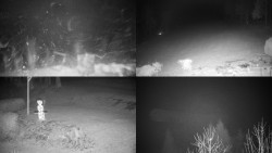 Sdružený snímek okolí chaty Myslivna