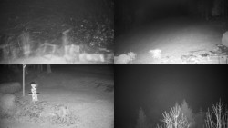 Sdružený snímek okolí chaty Myslivna