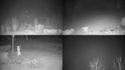 Sdružený snímek okolí chaty Myslivna