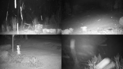 Sdružený snímek okolí chaty Myslivna