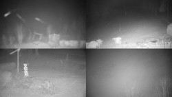 Sdružený snímek okolí chaty Myslivna