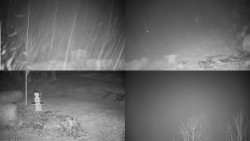 Sdružený snímek okolí chaty Myslivna