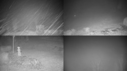 Sdružený snímek okolí chaty Myslivna