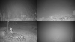 Sdružený snímek okolí chaty Myslivna