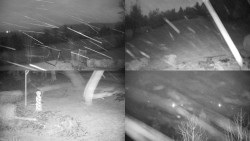 Sdružený snímek okolí chaty Myslivna