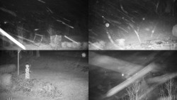 Sdružený snímek okolí chaty Myslivna