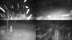 Sdružený snímek okolí chaty Myslivna