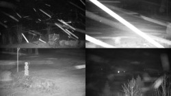 Sdružený snímek okolí chaty Myslivna