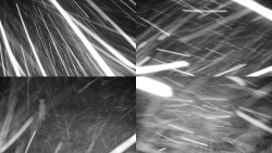 Sdružený snímek okolí chaty Myslivna