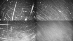 Sdružený snímek okolí chaty Myslivna