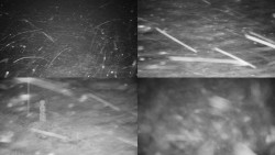 Sdružený snímek okolí chaty Myslivna