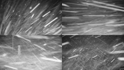 Sdružený snímek okolí chaty Myslivna