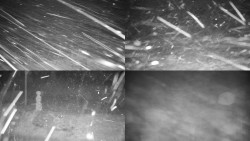 Sdružený snímek okolí chaty Myslivna